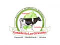 Ganadería Los Girasoles 